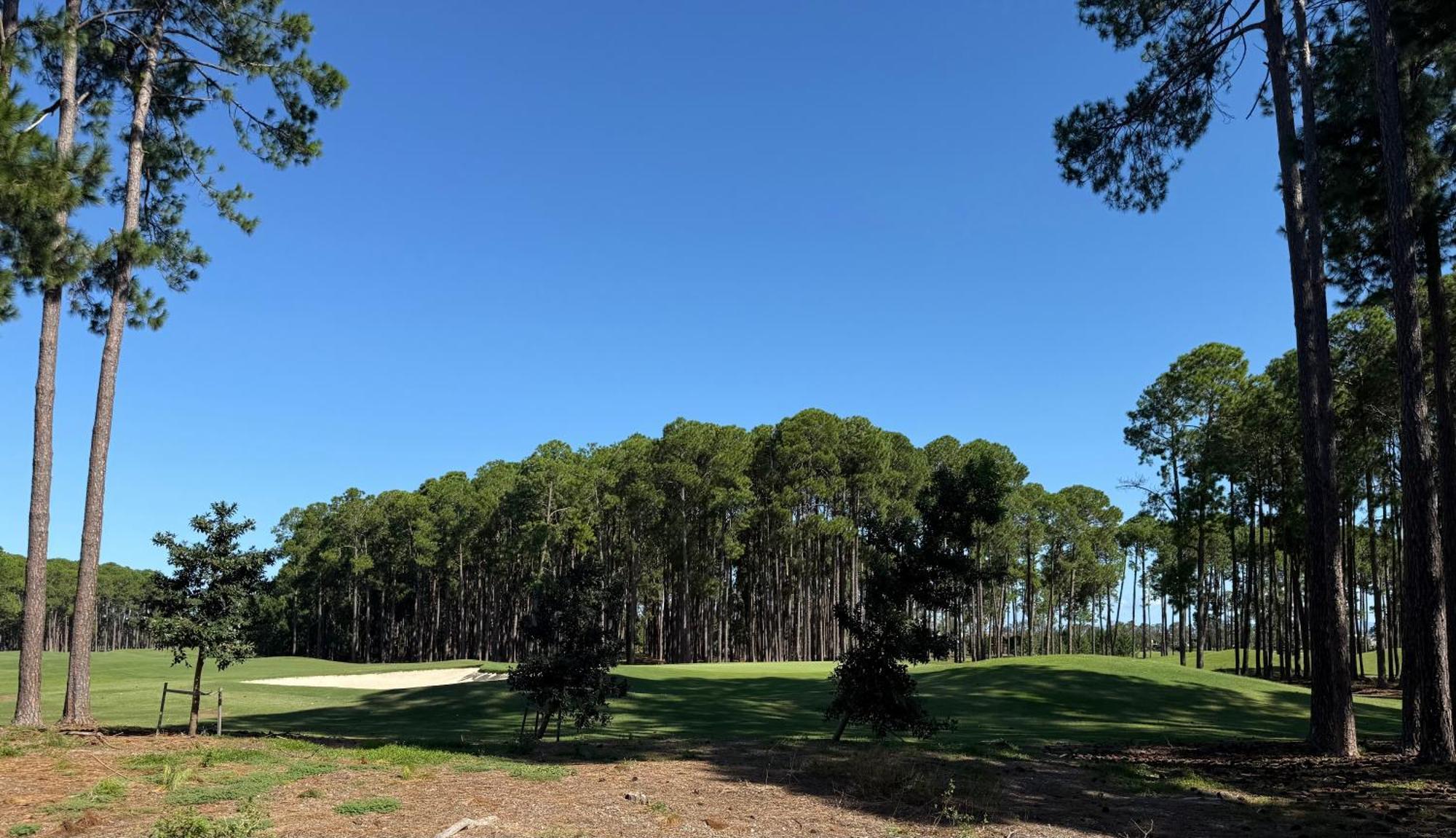 Pine Heaven